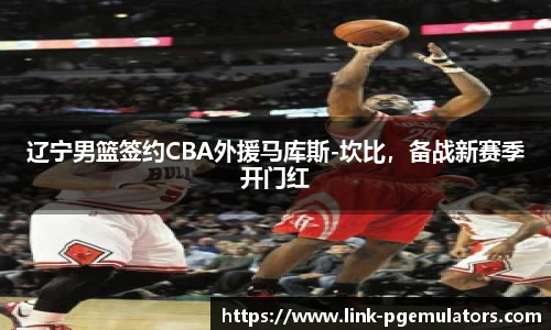 辽宁男篮签约CBA外援马库斯-坎比，备战新赛季开门红