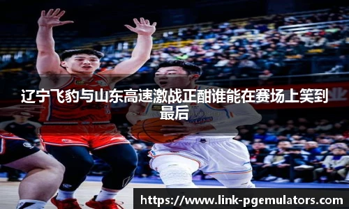 辽宁飞豹与山东高速激战正酣谁能在赛场上笑到最后